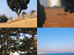 -小麦岛公园
