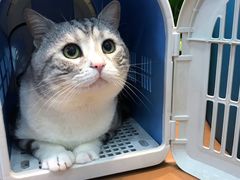 -联合动物医院(光谷诊疗中心)