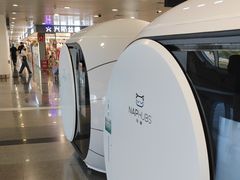 -厦门高崎国际机场-T3航站楼