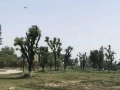 -汉长安城未央宫国家考古遗址公园