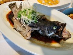 -顺峰(农展馆店)