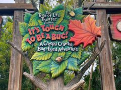 -奥兰多迪士尼动物王国乐园