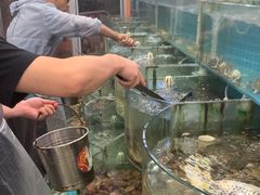-仙螺岛海鲜自助餐厅(总店)