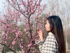 -蜀冈西峰生态公园