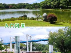 -东莞植物园