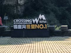 -王莽岭风景区
