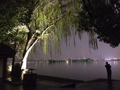 -西湖外事游船(花港观鱼码头)