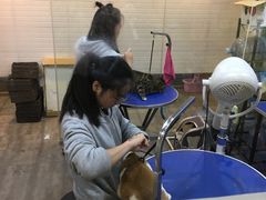 -PETKIT小佩宠物(古北店)
