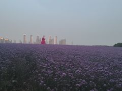 -呼吸森林·生态农庄农家乐私房菜