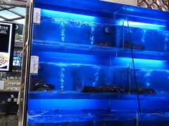 -眉州东坡(亚运村店)