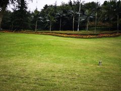 -龙头寺公园