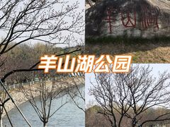 -羊山湖公园