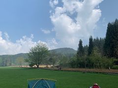 -武陵山森林公园