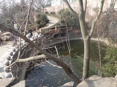 -石老人观光园