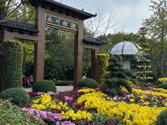 -南山植物园