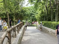 -成都动物园