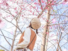 -田野绿世界