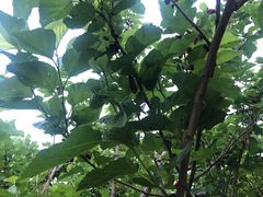 -丝绸小镇荻港古村