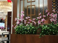 -东江海鲜酒家(艺都分店)