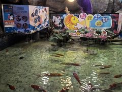 -烟台海昌鲸鲨海洋公园