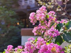 -东江渔村·古典园林·30年粤菜老字号(太和店)