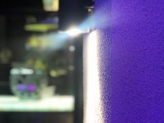 -杜尚rooftop露台酒吧