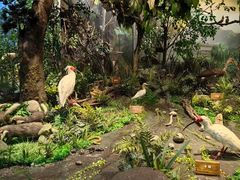 -陕西自然博物馆