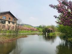 -黄陂区野村谷景区