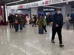 -东方体育中心(地铁站)