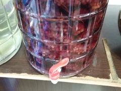 五味子泡酒-生态牦牛王