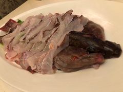 东星斑-四季火锅酒家(新濠影汇店)
