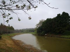 -上海海湾国家森林公园