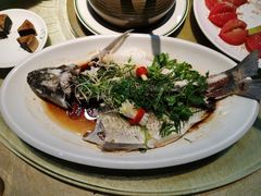 清蒸鲩鱼-五邑人家(江门店)