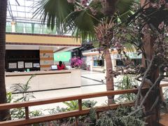 -陶然居·重庆菜(生态园店)