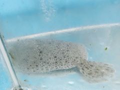 -晓伟海鲜家常菜