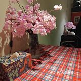 0元玩转这座城 有幸前来周游记私房小厨探店