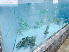 -顺风山庄(水濂山店)