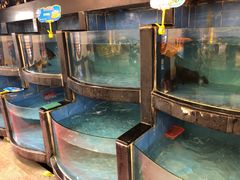 水产区-天鲜阁·海鲜粤菜·33年老字号(石槎白云站店)
