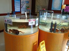 -万龙洲海鲜(大兴绿地缤纷城店)