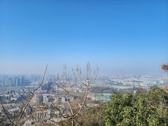 -杭州半山国家森林公园