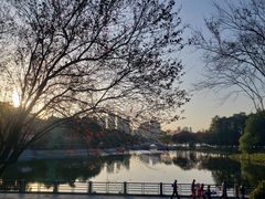 -月湖风景区