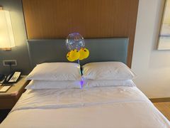 -三亚绿发山海天JW万豪酒店