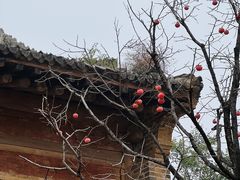 -白鹿原影视城
