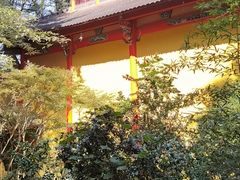 -九华山风景区月身宝殿