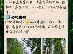 -日照海滨国家森林公园