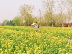 -汉长安城未央宫国家考古遗址公园