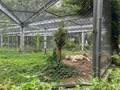 -合肥野生动物园