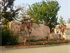 -大兴滨河森林公园