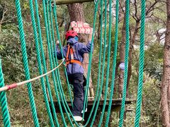 -芦仙山景区-飞越丛林探险乐园