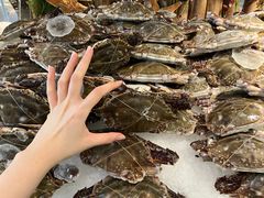 -一方渔歌蒸汽海鲜自助(文化路万达广场店)